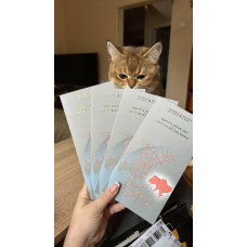 Банкнота «Єдність рятує світ» у сувенірній упаковці 2024