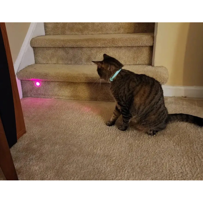 Іграшка смарт ошийник з вбудованим лазером для котів (Зелений)