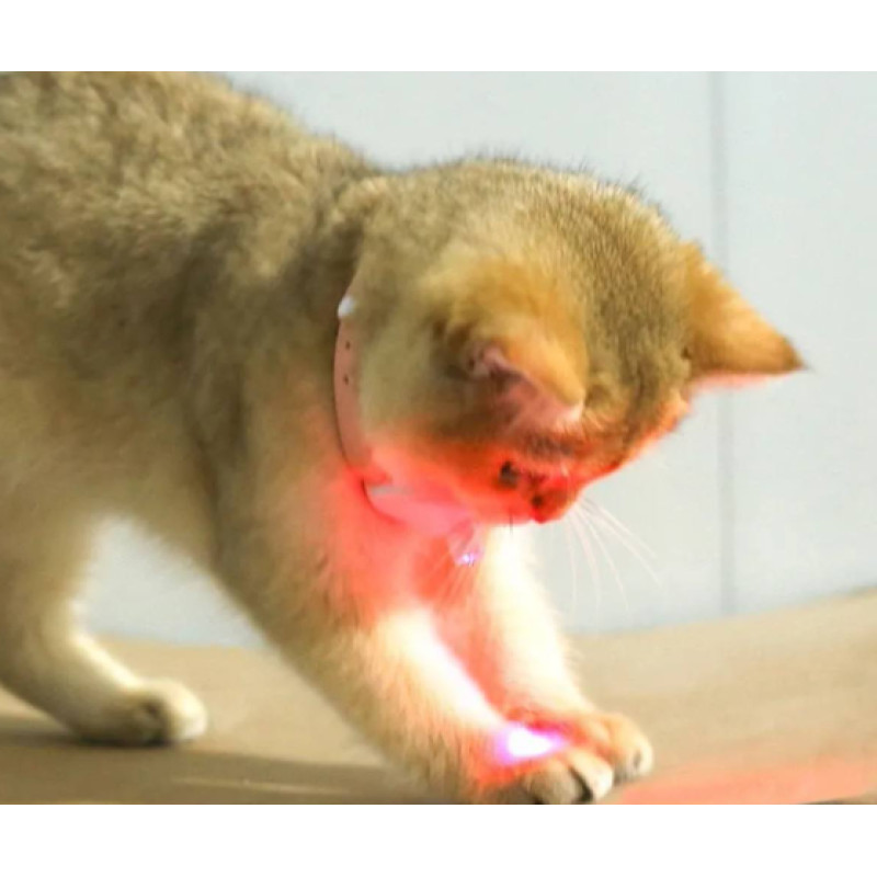 Іграшка смарт ошийник з вбудованим лазером для котів (Зелений)